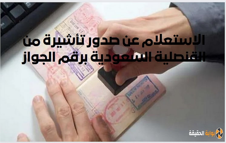 الاستعلام عن صدور تأشيرة من القنصلية السعودية برقم الجواز الرابط والطريقة